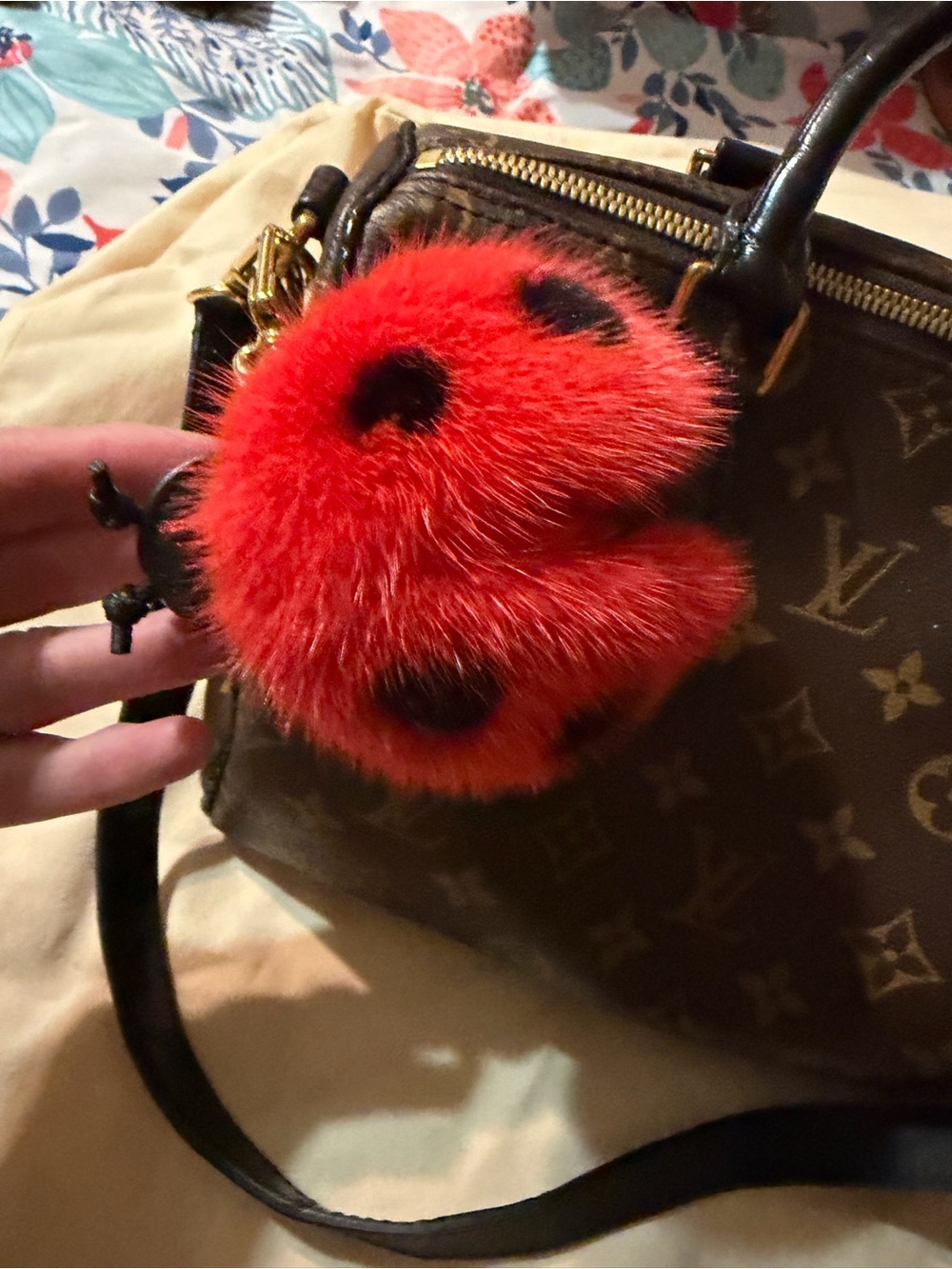 Louis Vuitton Mink Ladybug